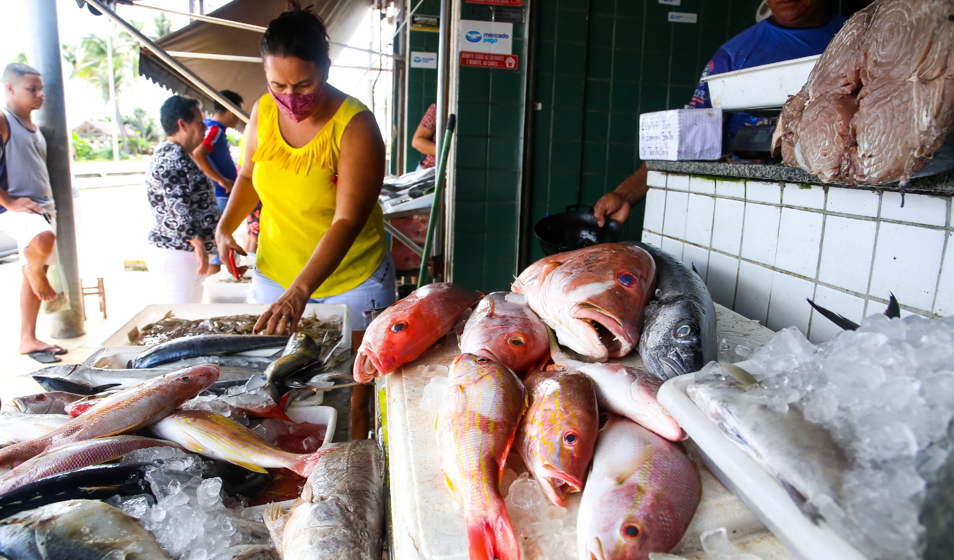 mulher observa peixes numa banca de mercado